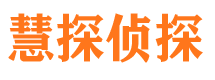 江海市侦探公司